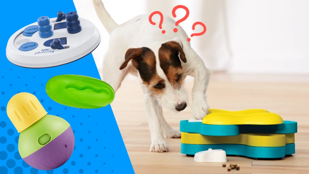 How Important are Puzzle Toys for Dogs: Boost Brain Power & Fun