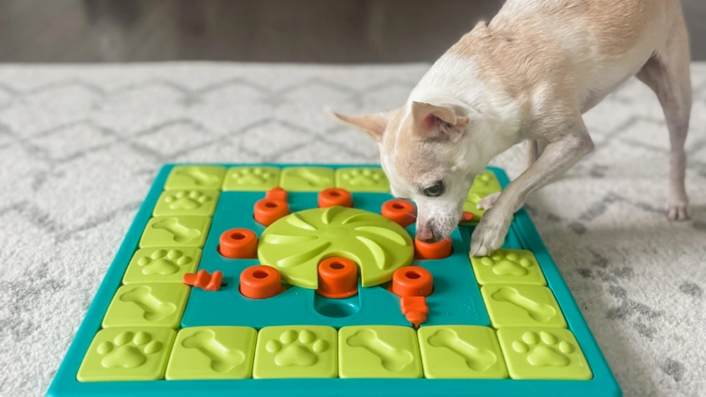 What is Considered a Puzzle Toy for a Dog: Top Interactive Picks